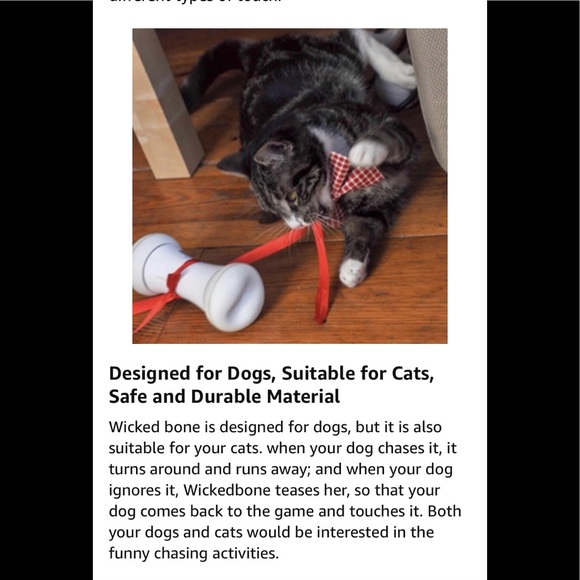 Wicked Bone Interactive Automatic Dog Cat Toy Remote Control Robot Rechargeable - Picture 9 of 15